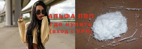 гашик Павловск