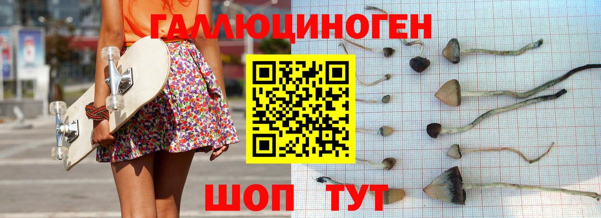 сколько стоит  Псилоцибиновые грибы Cubensis  Вход с VPN  Усть-Джегута 