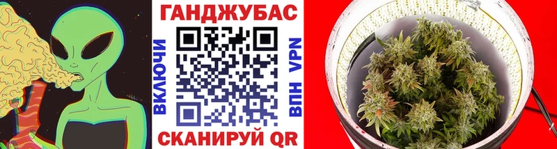 это как зайти  Усть-Джегута  Канабис OG Kush 